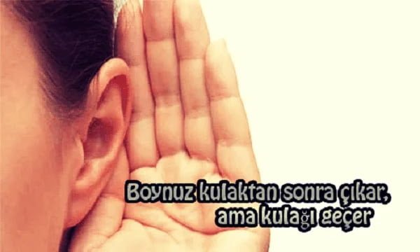Kulak İle İlgili Atasözleri ve Anlamları