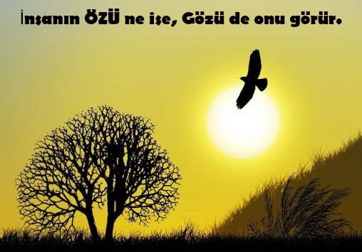 Mantıklı Sözler, Mantıkla ilgili sözler, Kısa Mantık Sözleri Mantıklı Sözler