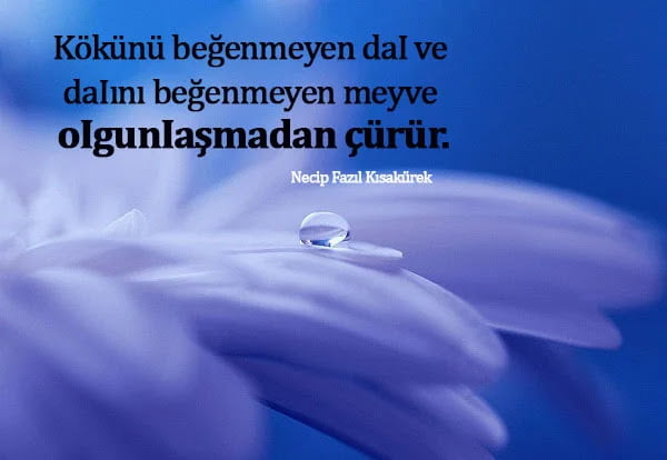 Necip Fazıl Kısakürek Sözleri