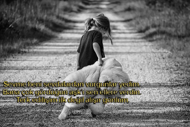 En Güzel Özlem Sözleri En Güzel Özlem Sözleri