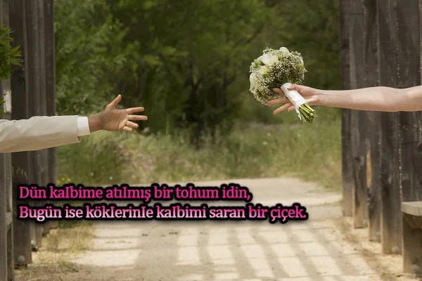 Sevgi Şiirleri / Sevgiliye / Aşk Sevgi Şiirleri