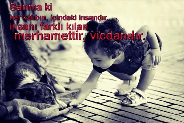 Vicdan İle İlgili Sözler