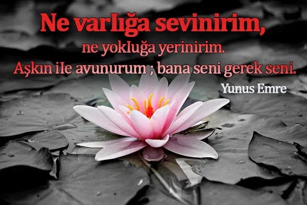 Yunus Emre Sözleri