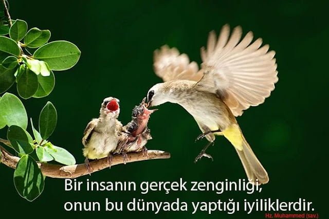 Zenginlik ile İlgili Sözler