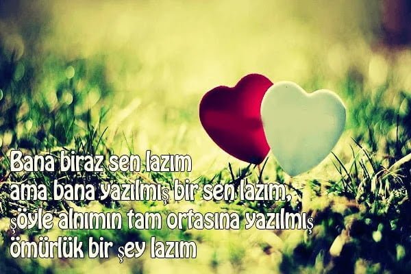 Anlamlı Etkileyici Aşk Sözleri