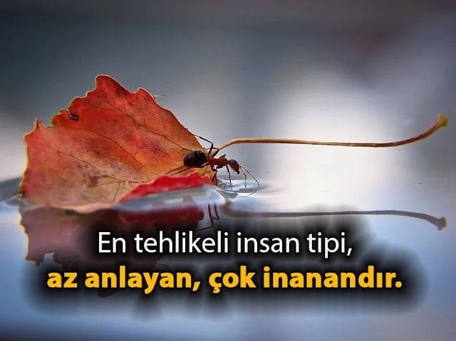 Tehlike İle İlgili Sözler, Tehlikeli Sözler Tehlike İle İlgili Sözler