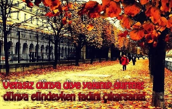 Vefa İle İlgili Sözler / Anlamli Vefa Sözleri