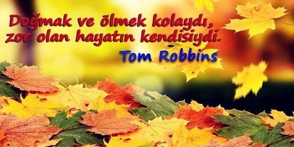 Meşhur Sözler, Anlamlı, Güzel Meşhur Sözler