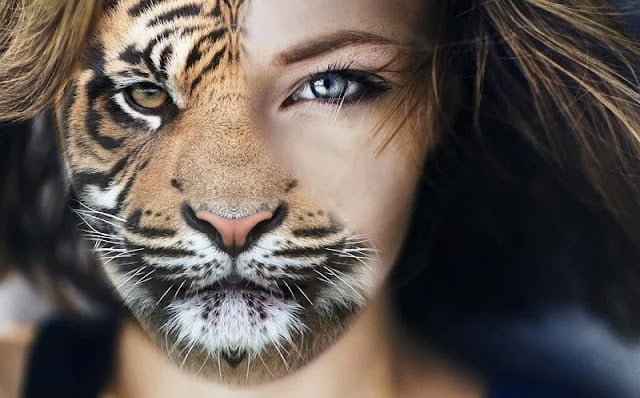Aslan Burcu En İyi ve En Kötü Kişilik Özellikleri