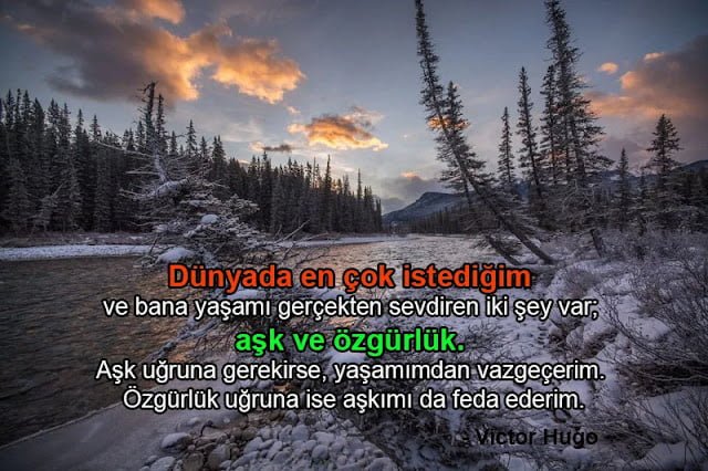 Victor Hugonun Söylemiş Olduğu Sözler Victor Hugo Sözleri