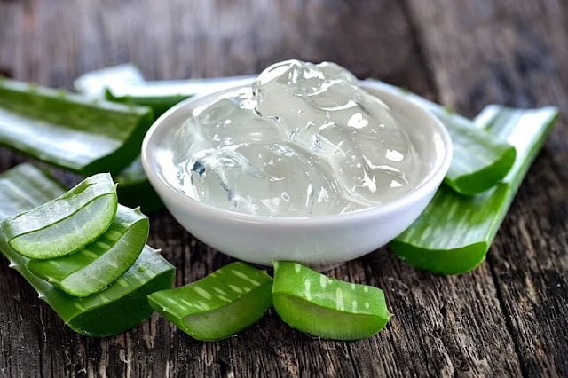 Aloe Vera Jel güneş yanığı için Aloe Vera Jel güneş yanığı için
