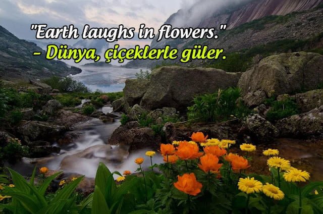 Çevre İle İlgili İngilizce Sloganlar
