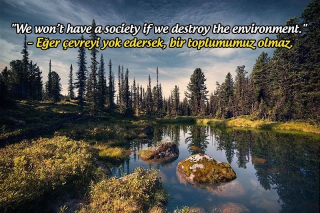 Çevre İle İlgili İngilizce Sloganlar