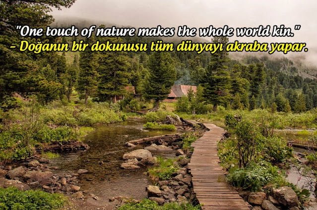 Çevre İle İlgili İngilizce sözler