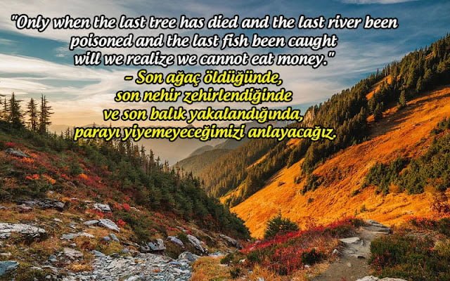 Çevre İle İlgili İngilizce sözler