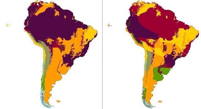 Güney Amerika İklimi Hakkında Detaylı Bilgi