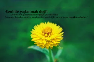 Kocaya Teşekkür Sözleri