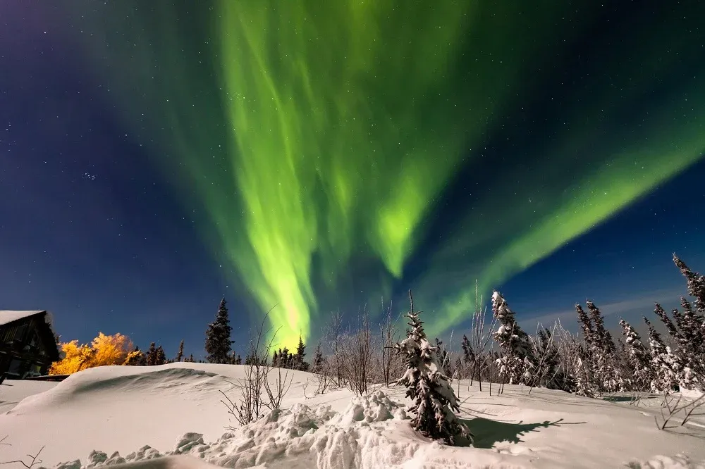 Fairbanks Nerededir