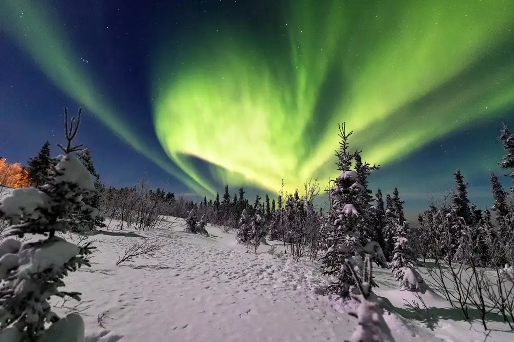Fairbanks'ın İklimi ve Doğal Ortamı