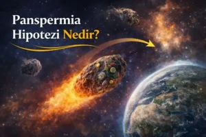 Panspermia Hipotezi