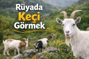 Rüyada Keçi Görmek, Rüya Yorumu
