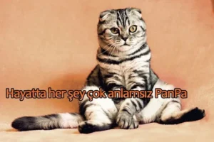 Anlamsız Sözler