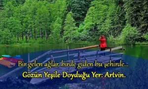 Artvin ile ilgili sözler