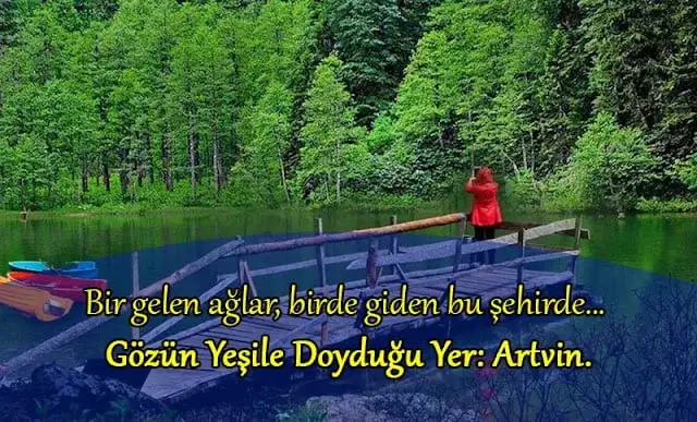 Artvin ile ilgili sözler
