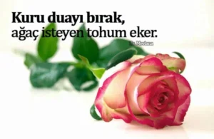 Dervişlerin Söylediği Sözler, Derviş Sözleri