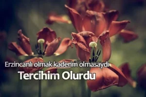Erzincan İle İlgili Sözler