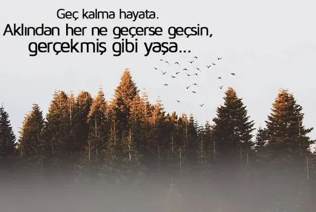 Geç Kalmak İle İlgili Anlamlı Sözler