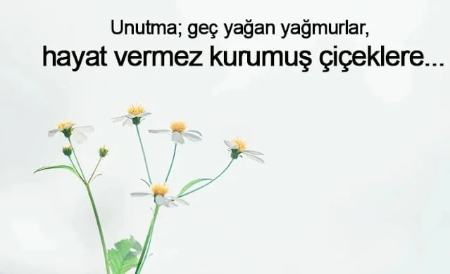 Geç Kalmak İle İlgili Duygusal Sözler