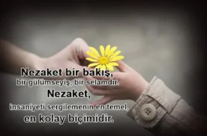 Nezaket ile ilgili sözler