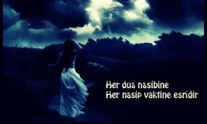 Ş Harfi İle Başlayan Güzel Sözler