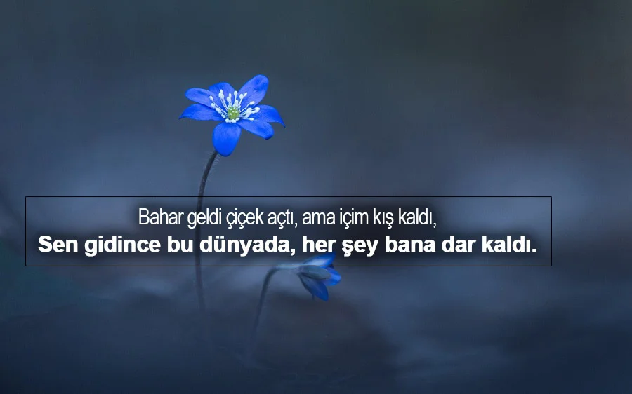 Ağıt Sözleri