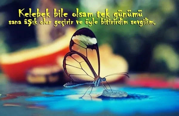 Anlamlı Romantik Mesajlar