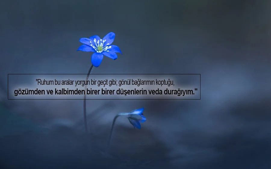 Anlamlı Şaşırtıcı Mesajlar