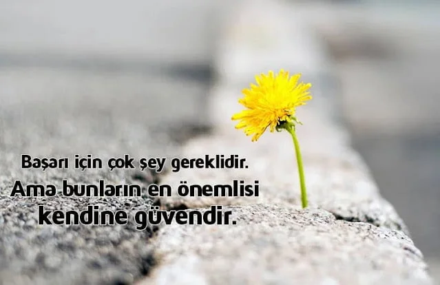 Anlamlı Takım Çalışması Sözleri