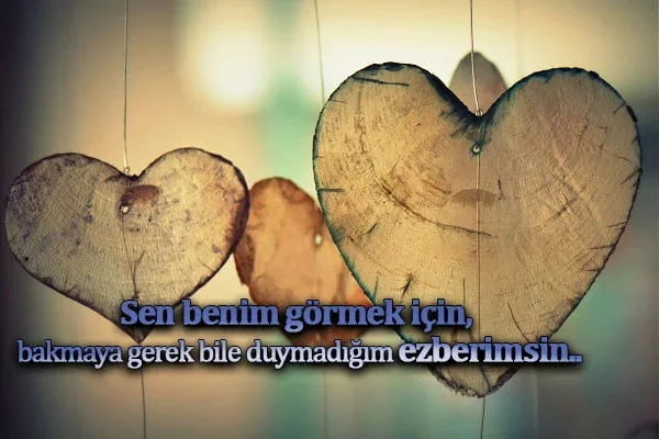 Anlamlı ve Etkileyici Aşk Sözü