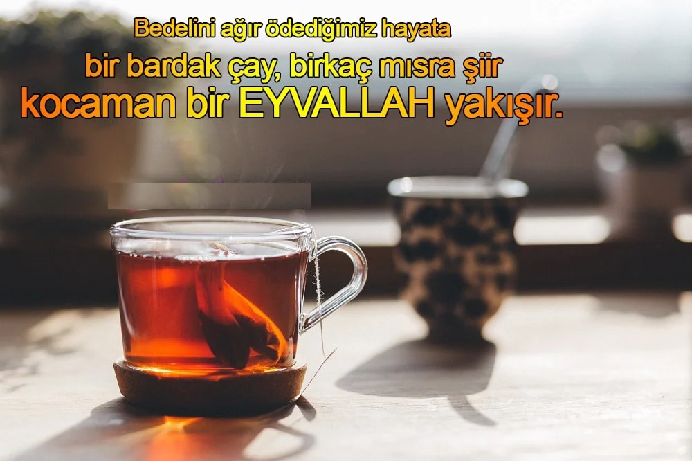 Asaletimiz Suskunluğumuzda Saklı