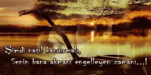 Aşk Acısı Sözleri