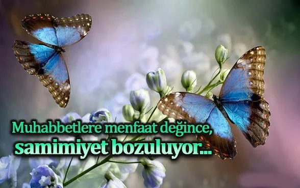 çıkar ve menfaat ile ilgili özlü sözler