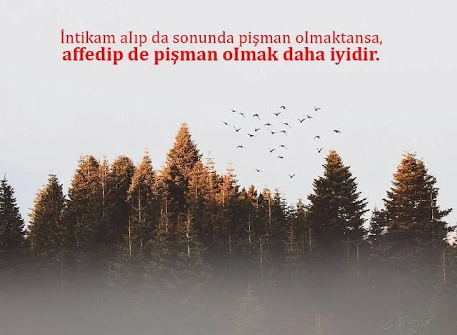 Çılgın Sözler