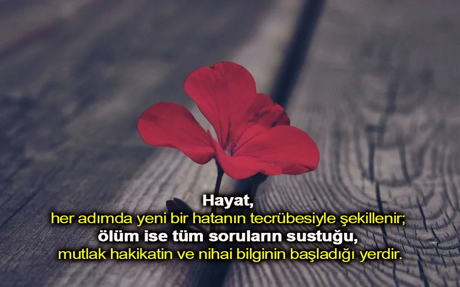 Hayran Bırakan Mesajlar