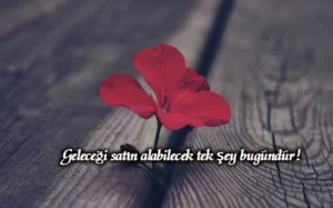 Hayran Bırakan Sözler