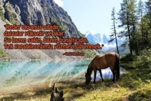 Kederli Birini Rahatlatıcı 50 Söz