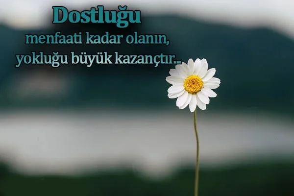 menfaat dostluğu ile ilgili sözler