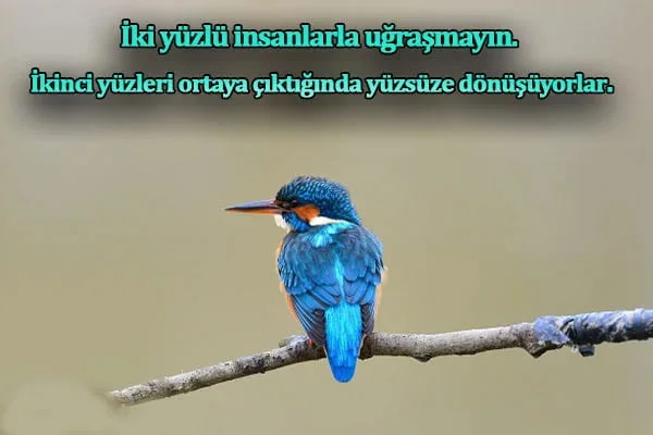menfaat ile ilgili anlamlı ve düşündüren sözler