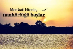 Menfaat İle İlgili Sözler