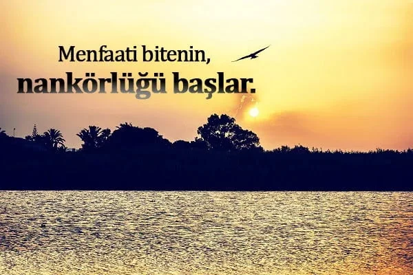 Menfaat İle İlgili Sözler
